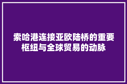 索哈港连接亚欧陆桥的重要枢纽与全球贸易的动脉