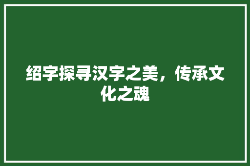 绍字探寻汉字之美，传承文化之魂