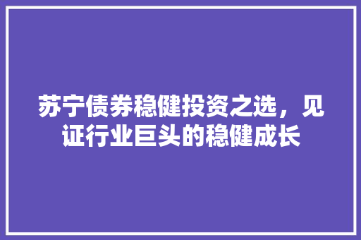 苏宁债券稳健投资之选，见证行业巨头的稳健成长