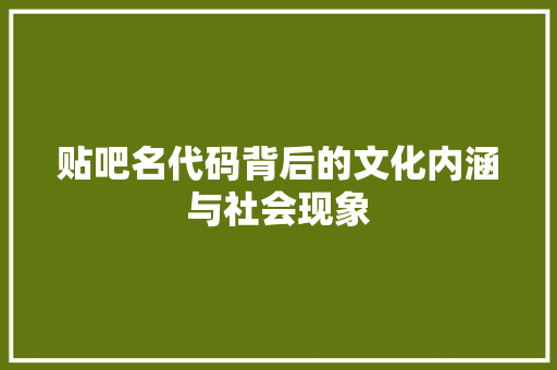 贴吧名代码背后的文化内涵与社会现象
