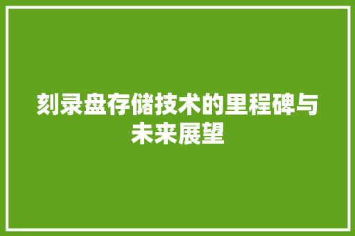 刻录盘存储技术的里程碑与未来展望