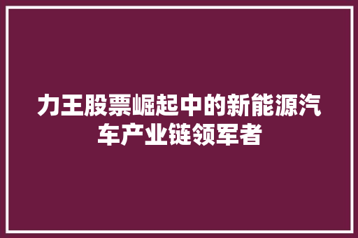 力王股票崛起中的新能源汽车产业链领军者