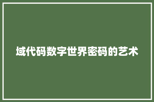 域代码数字世界密码的艺术