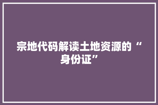 宗地代码解读土地资源的“身份证”