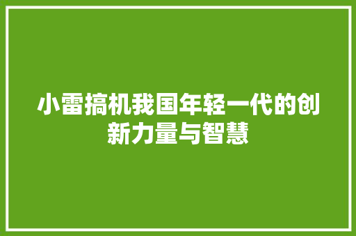 小雷搞机我国年轻一代的创新力量与智慧
