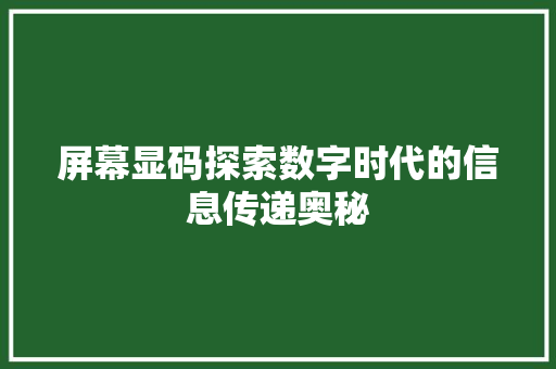 屏幕显码探索数字时代的信息传递奥秘