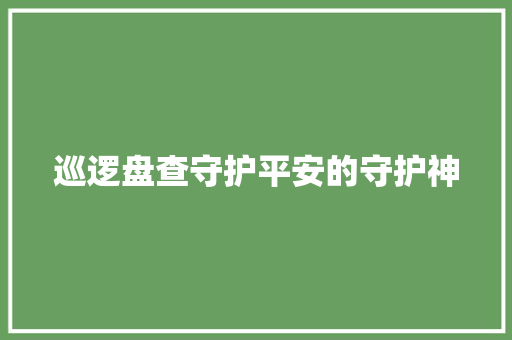 巡逻盘查守护平安的守护神