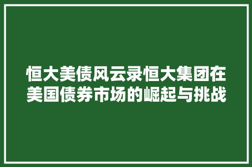 恒大美债风云录恒大集团在美国债券市场的崛起与挑战