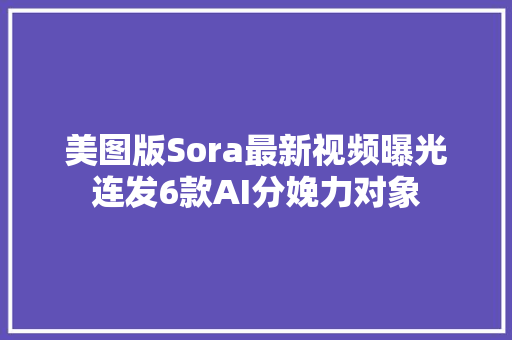 美图版Sora最新视频曝光连发6款AI分娩力对象