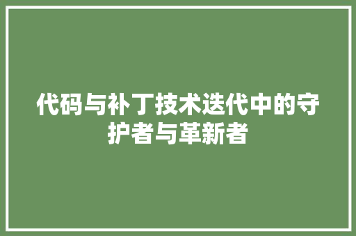 代码与补丁技术迭代中的守护者与革新者