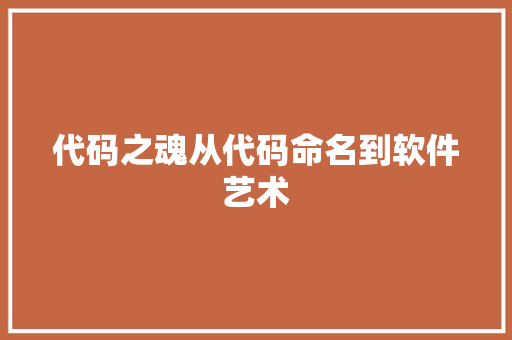 代码之魂从代码命名到软件艺术