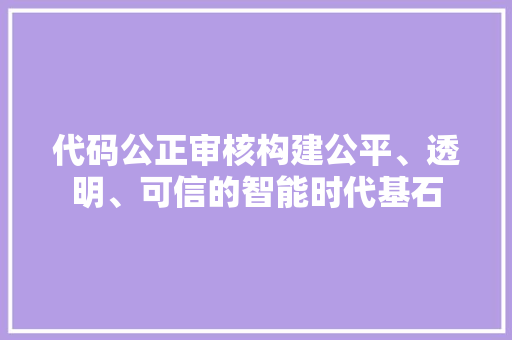 代码公正审核构建公平、透明、可信的智能时代基石
