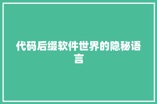 代码后缀软件世界的隐秘语言
