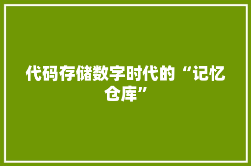 代码存储数字时代的“记忆仓库”