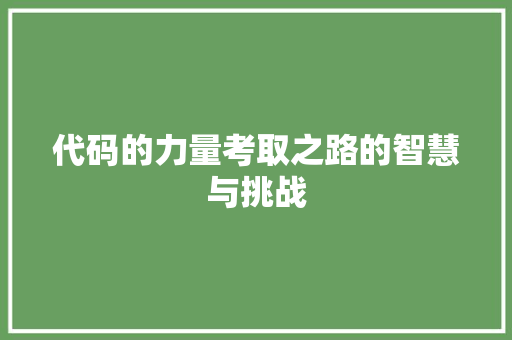 代码的力量考取之路的智慧与挑战
