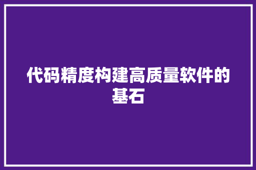 代码精度构建高质量软件的基石