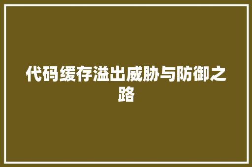 代码缓存溢出威胁与防御之路