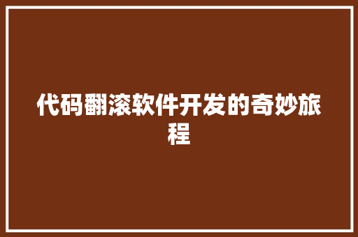 代码翻滚软件开发的奇妙旅程