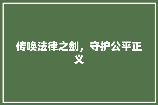 传唤法律之剑，守护公平正义