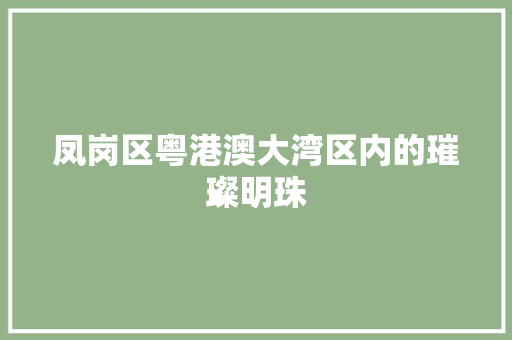 凤岗区粤港澳大湾区内的璀璨明珠