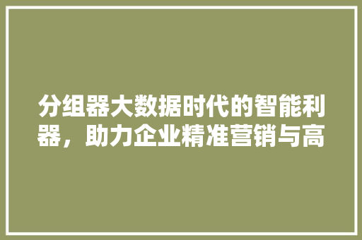 分组器大数据时代的智能利器，助力企业精准营销与高效管理
