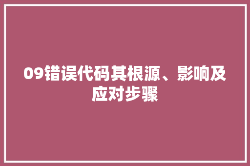 09错误代码其根源、影响及应对步骤