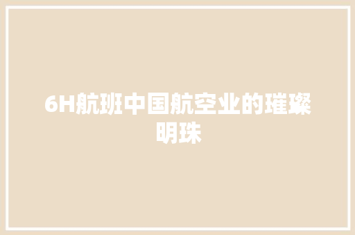 6H航班中国航空业的璀璨明珠