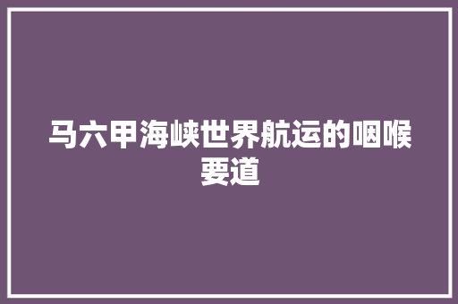马六甲海峡世界航运的咽喉要道