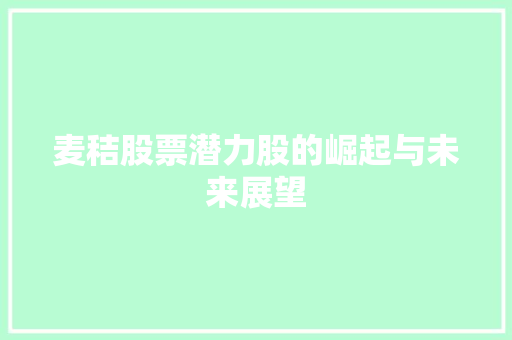 麦秸股票潜力股的崛起与未来展望
