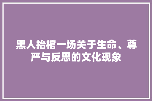 黑人抬棺一场关于生命、尊严与反思的文化现象