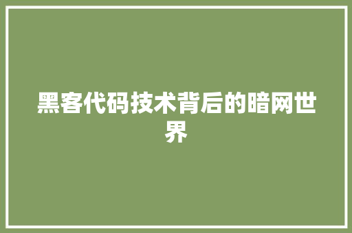 黑客代码技术背后的暗网世界