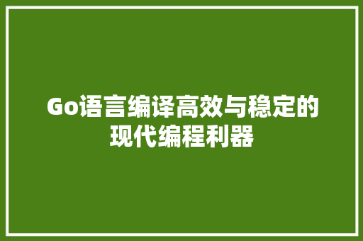 Go语言编译高效与稳定的现代编程利器