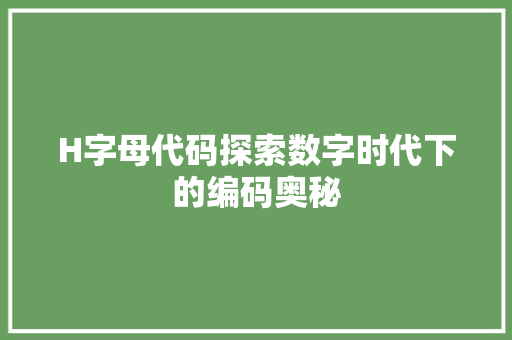 H字母代码探索数字时代下的编码奥秘