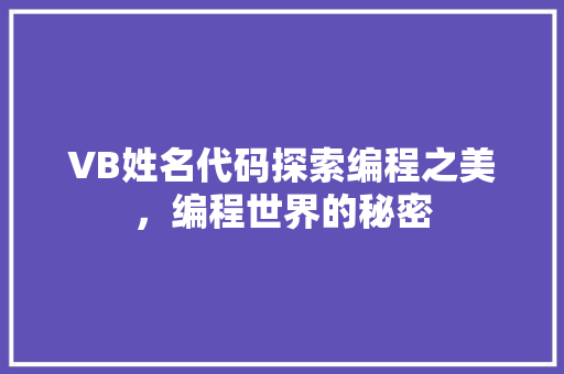 VB姓名代码探索编程之美，编程世界的秘密