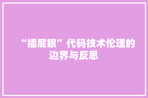 “插屁眼”代码技术伦理的边界与反思