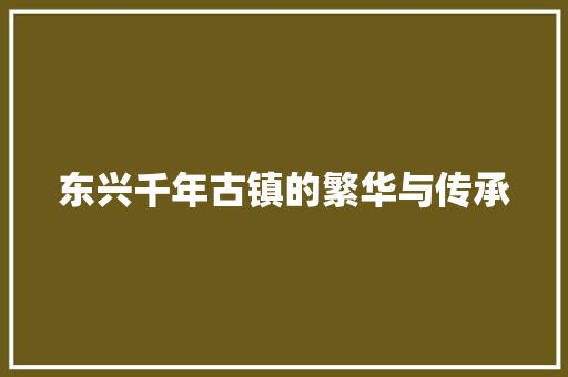 东兴千年古镇的繁华与传承