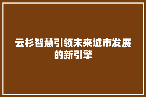 云杉智慧引领未来城市发展的新引擎