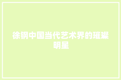 徐钢中国当代艺术界的璀璨明星