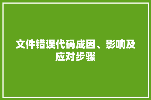 文件错误代码成因、影响及应对步骤