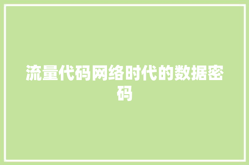 流量代码网络时代的数据密码