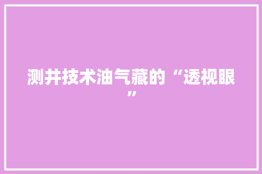 测井技术油气藏的“透视眼”