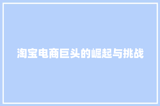 淘宝电商巨头的崛起与挑战