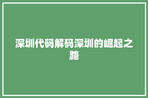 深圳代码解码深圳的崛起之路