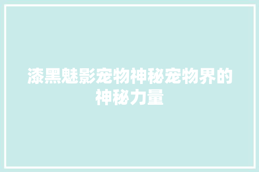 漆黑魅影宠物神秘宠物界的神秘力量