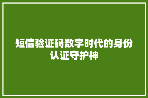 短信验证码数字时代的身份认证守护神