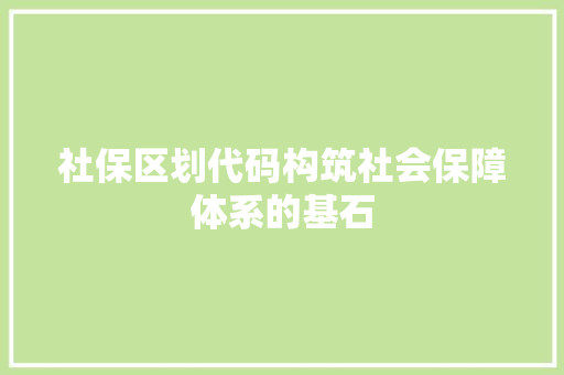 社保区划代码构筑社会保障体系的基石
