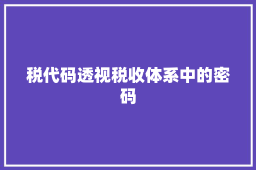 税代码透视税收体系中的密码