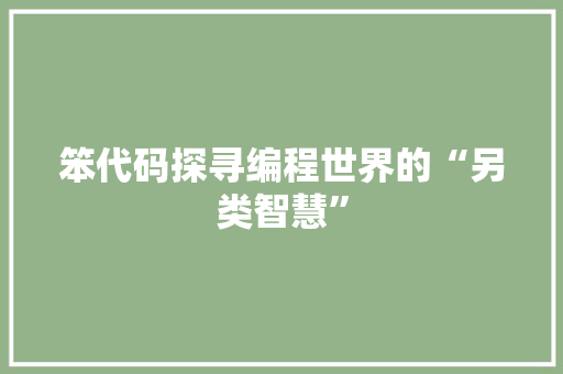 笨代码探寻编程世界的“另类智慧”
