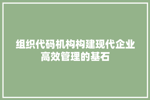 组织代码机构构建现代企业高效管理的基石