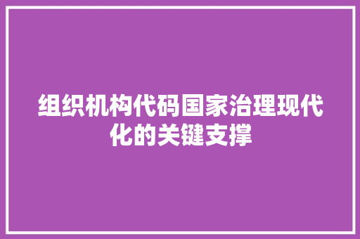 组织机构代码国家治理现代化的关键支撑